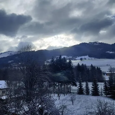 Vallée Verte Appartement Burdignin